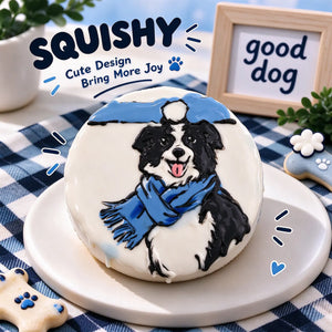 Hand-painted Border Collie squishy toy, cute Border Collie dog portrait with blue scarf on soft round fidget toy, white glossy surface on display plate
